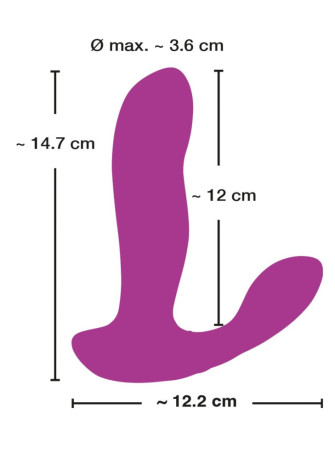 RC Shaking & Vibrating Panty Vibrator